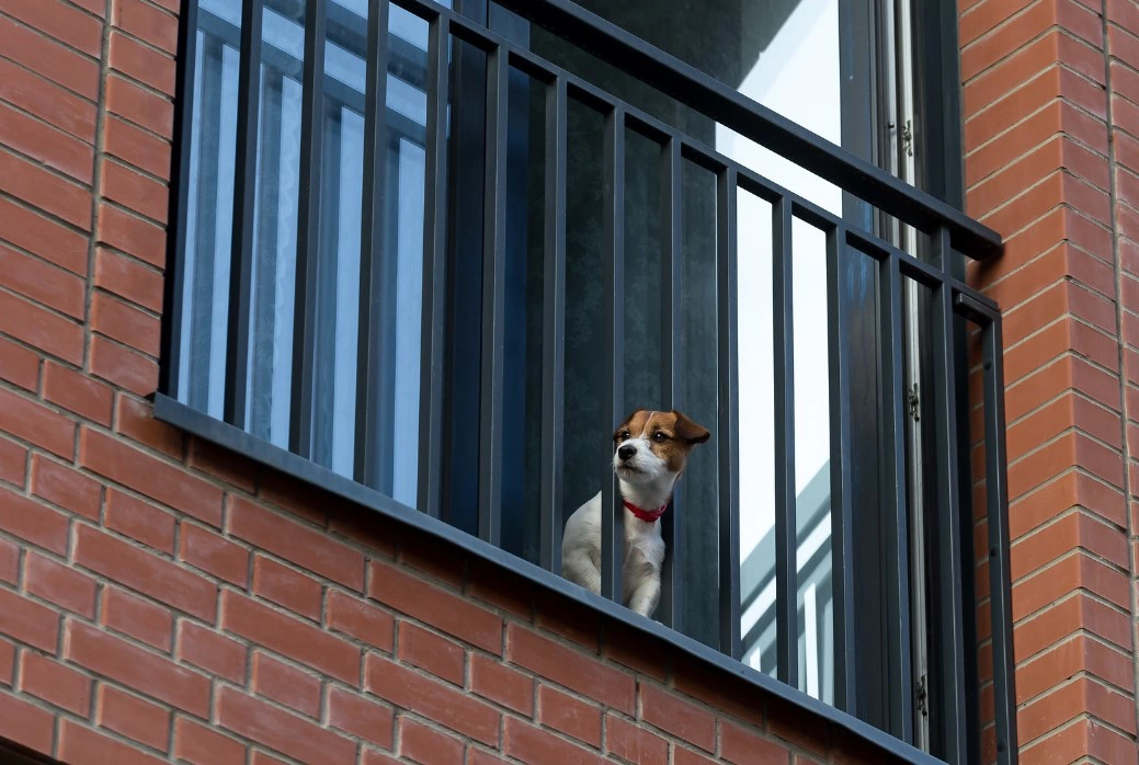 «Брусника»