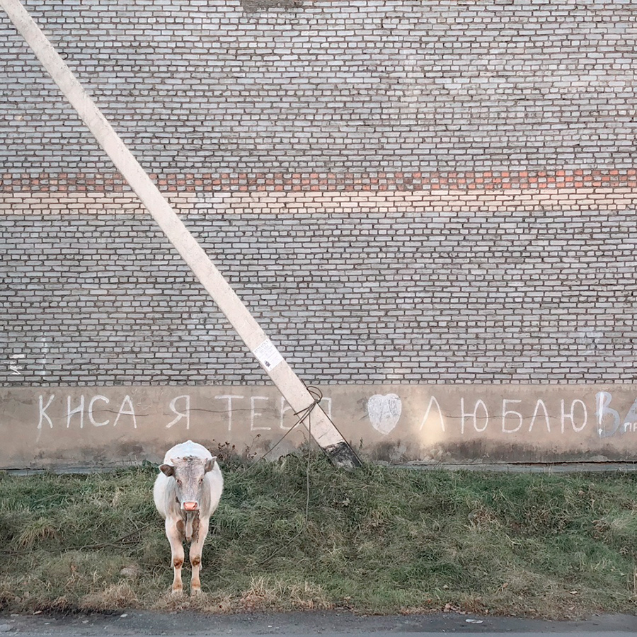 Фото: Дмитрий Марков / VK