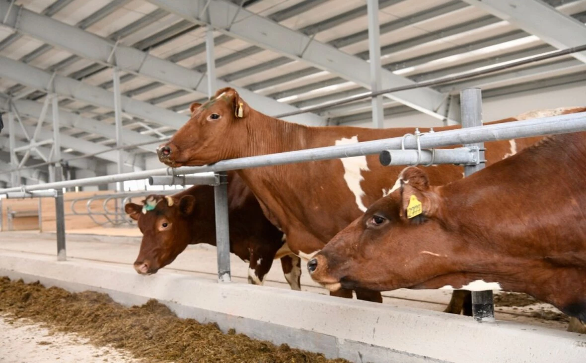 управление пресс-службы главы Республики Карелия