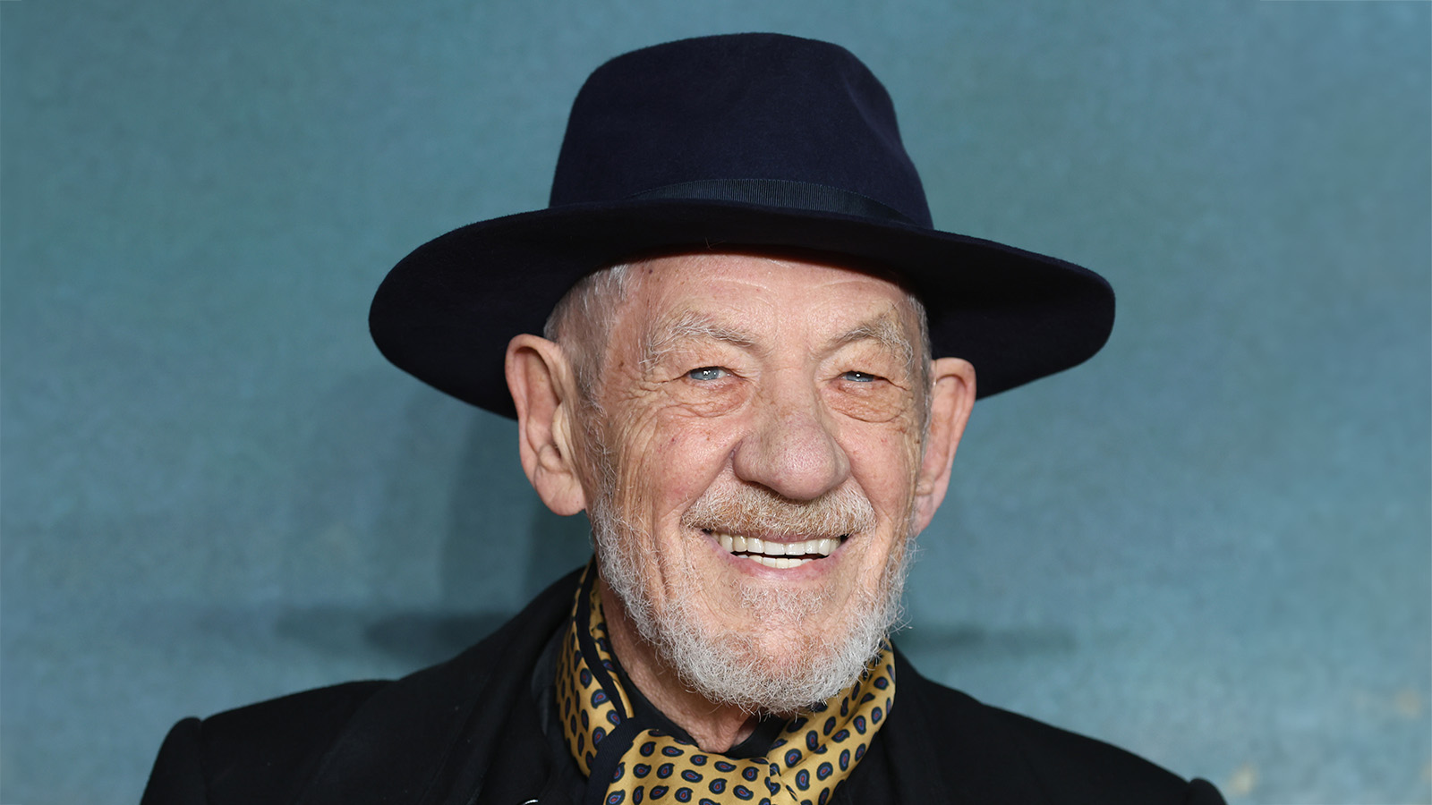 Иэн Маккеллен