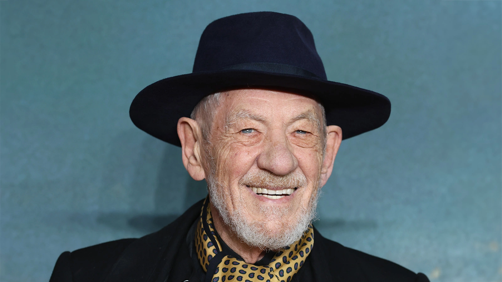 Иэн Маккеллен