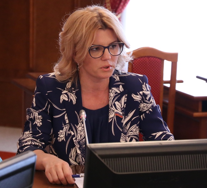 Заместитель председателя комитета по бюджетной, финансово-экономической политике и собственности Заксобрания Ирина Диденко