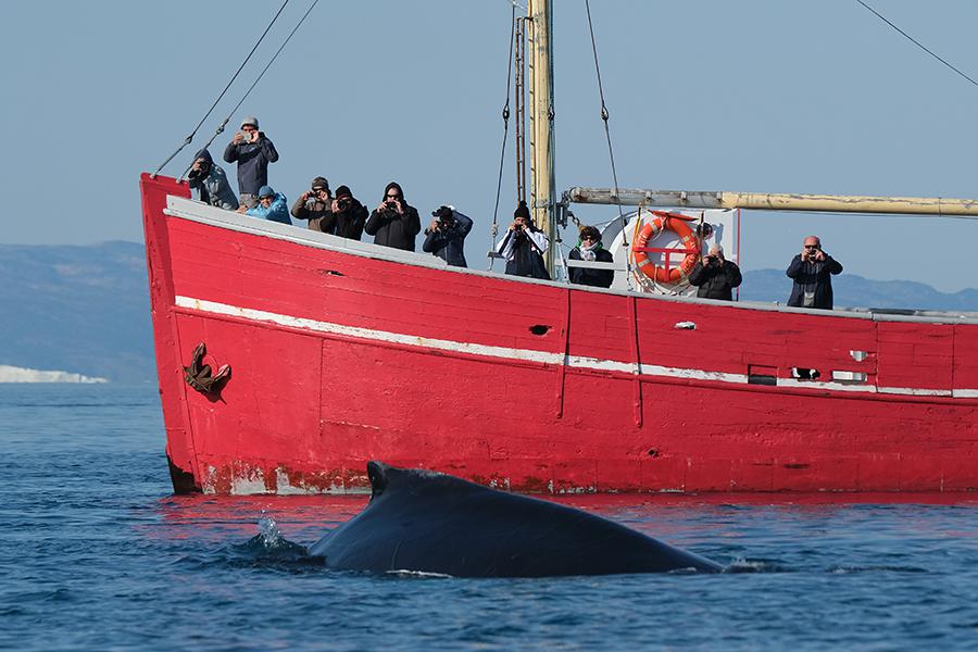 Фото: Sean Gallup / Getty Images