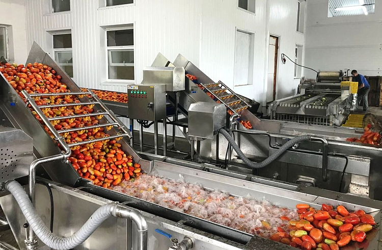 Правительство Приморья