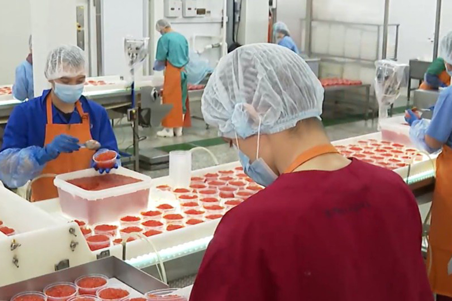 Фото: minpromtorg27 / Telegram