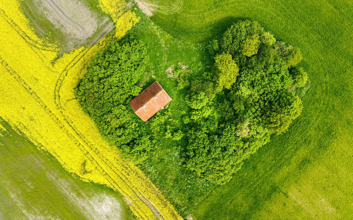Фото: Marek Piwnicki / Pexels