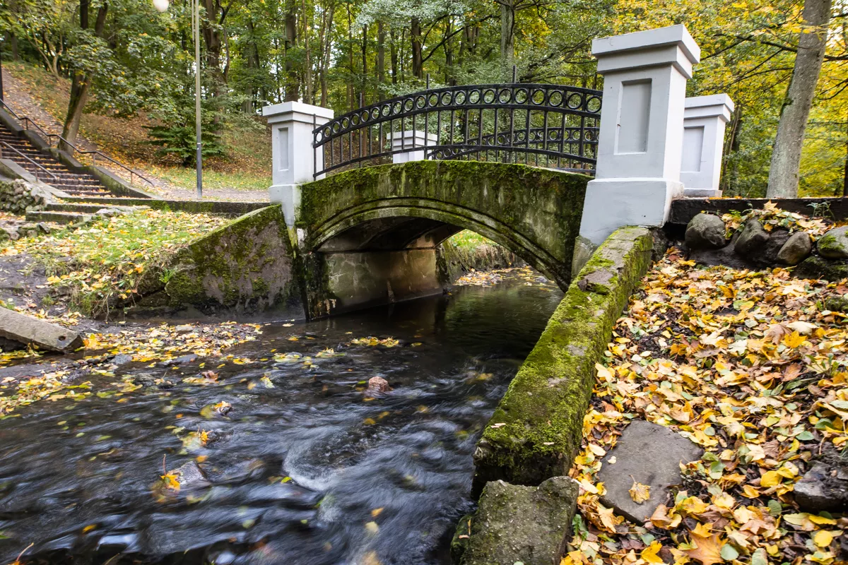 Александр Подгорчук