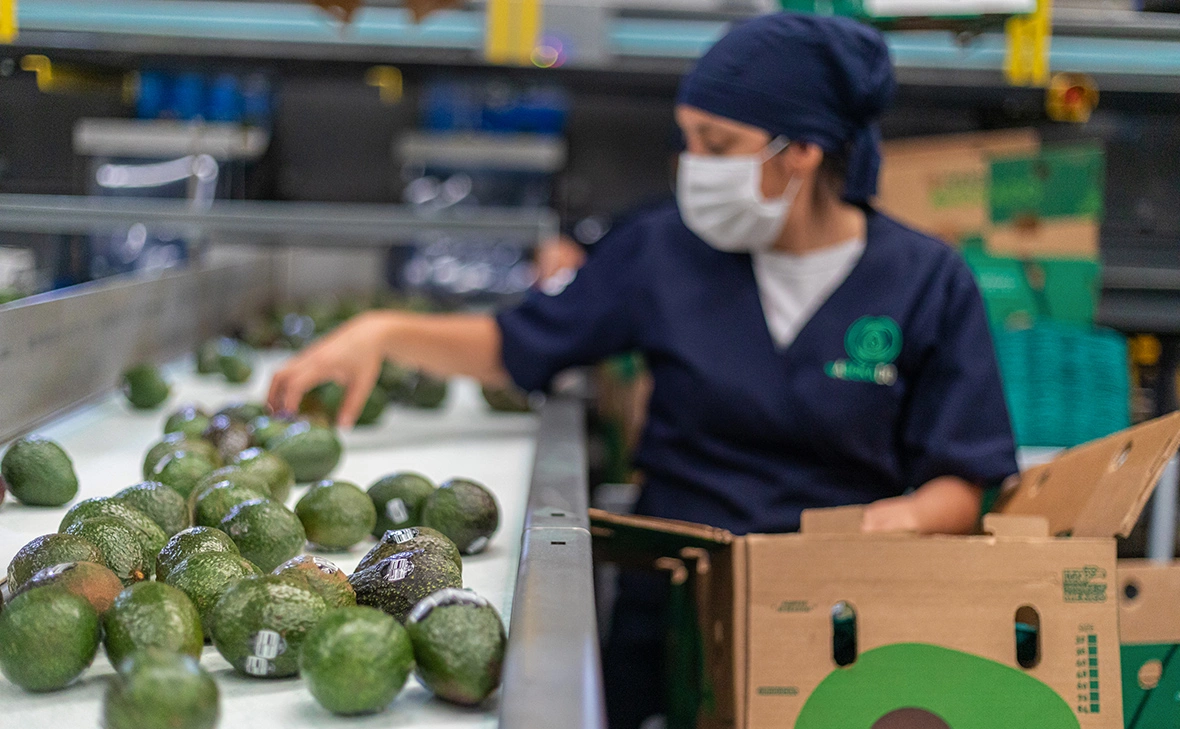 Brian Overcast / DPA / Global Look Press