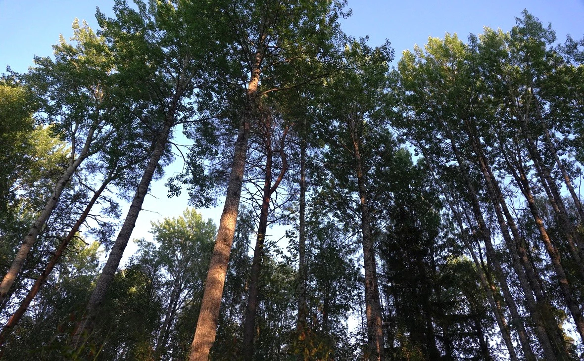 РБК Карелия 