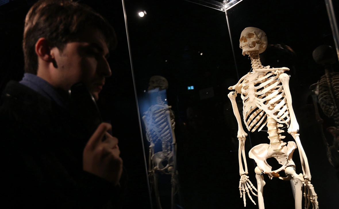 Adam Berry / Getty Images