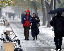 Синоптики обещают Северной столице мокрый снег