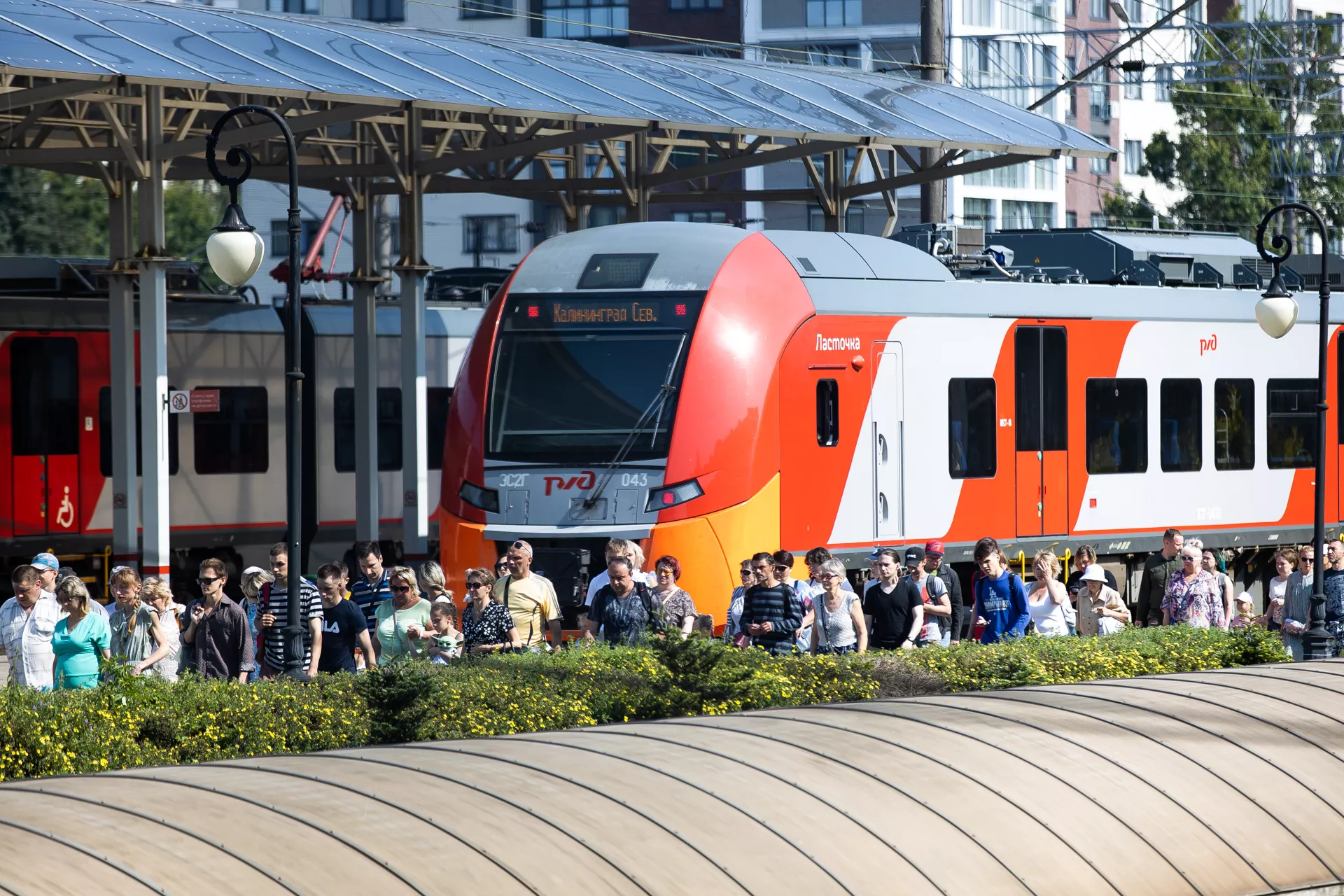 Александр Подгорчук