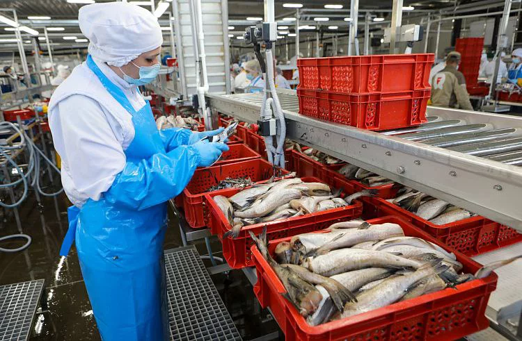 Праваительство Приморского края