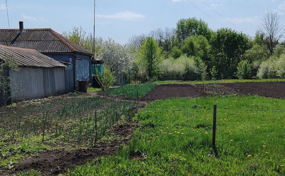 РБК Черноземье