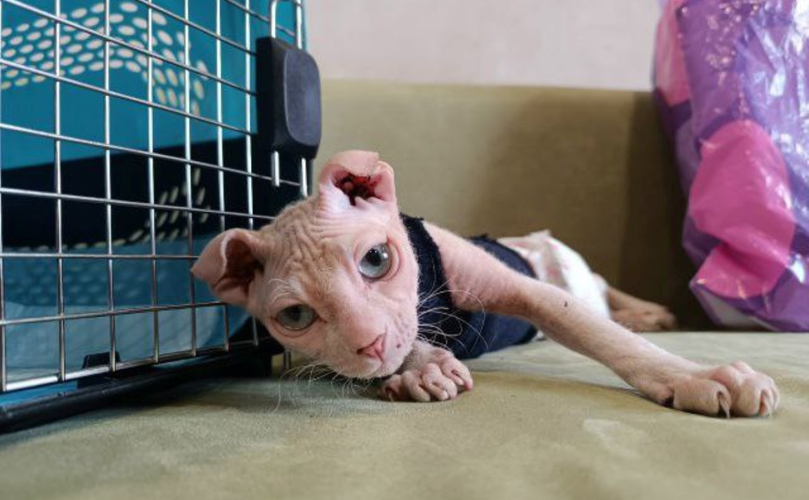 Фото: из личного архива Анны Павловской