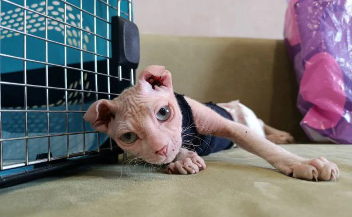 из личного архива Анны Павловской