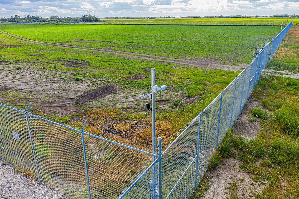 Фото: Scott Prokop / Shutterstock / FOTODOM