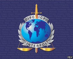 В Петербурге Интерпол задержал международного преступника из Израиля