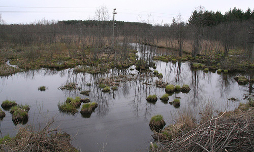 В Свердловской области ВАЗ с тремя пассажирами утонул в болоте