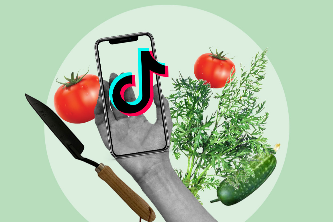 В TikTok собирают урожай и мерятся помидорами. Смотрим новый тренд