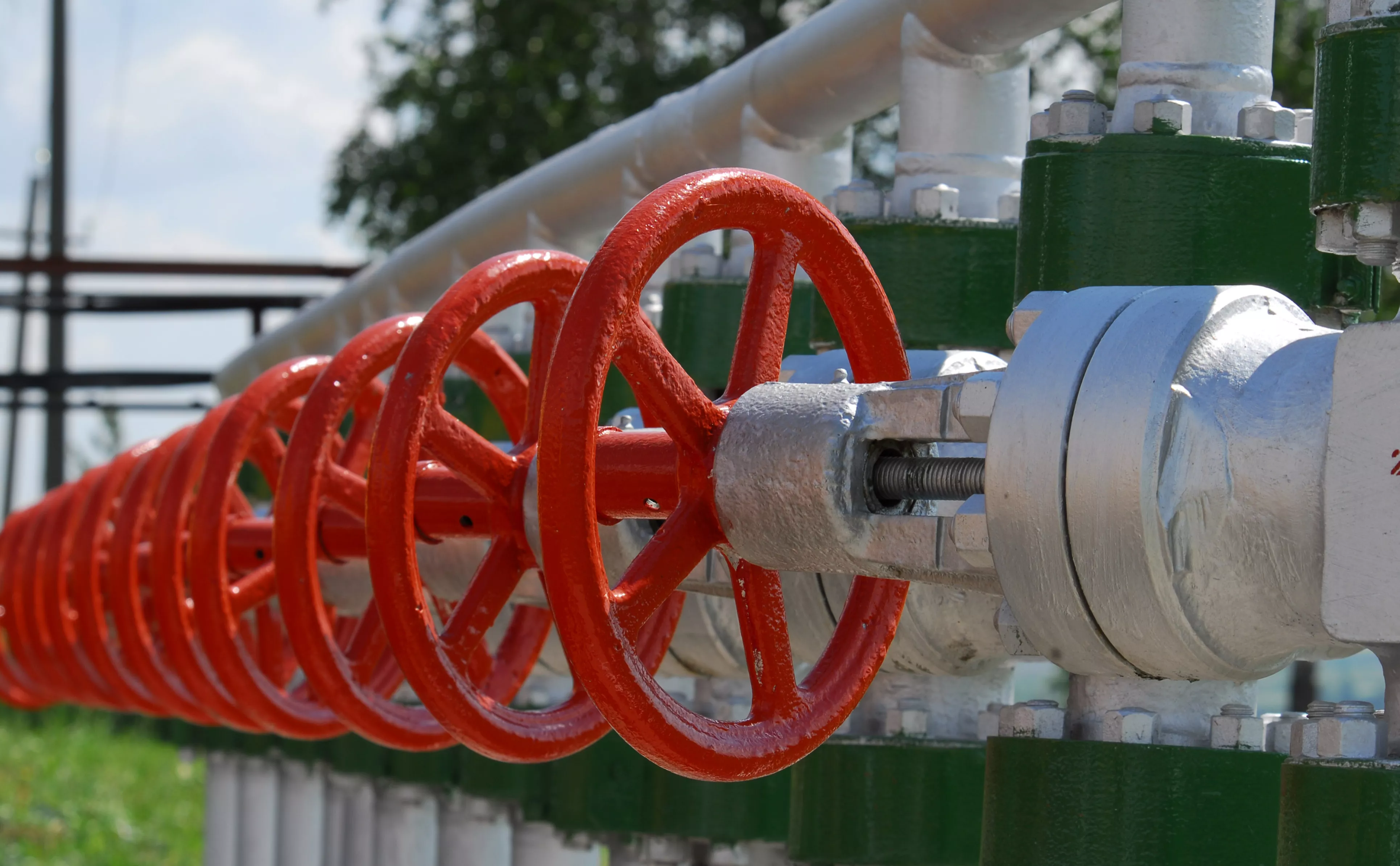 Михаил Дышлюк / ТАСС