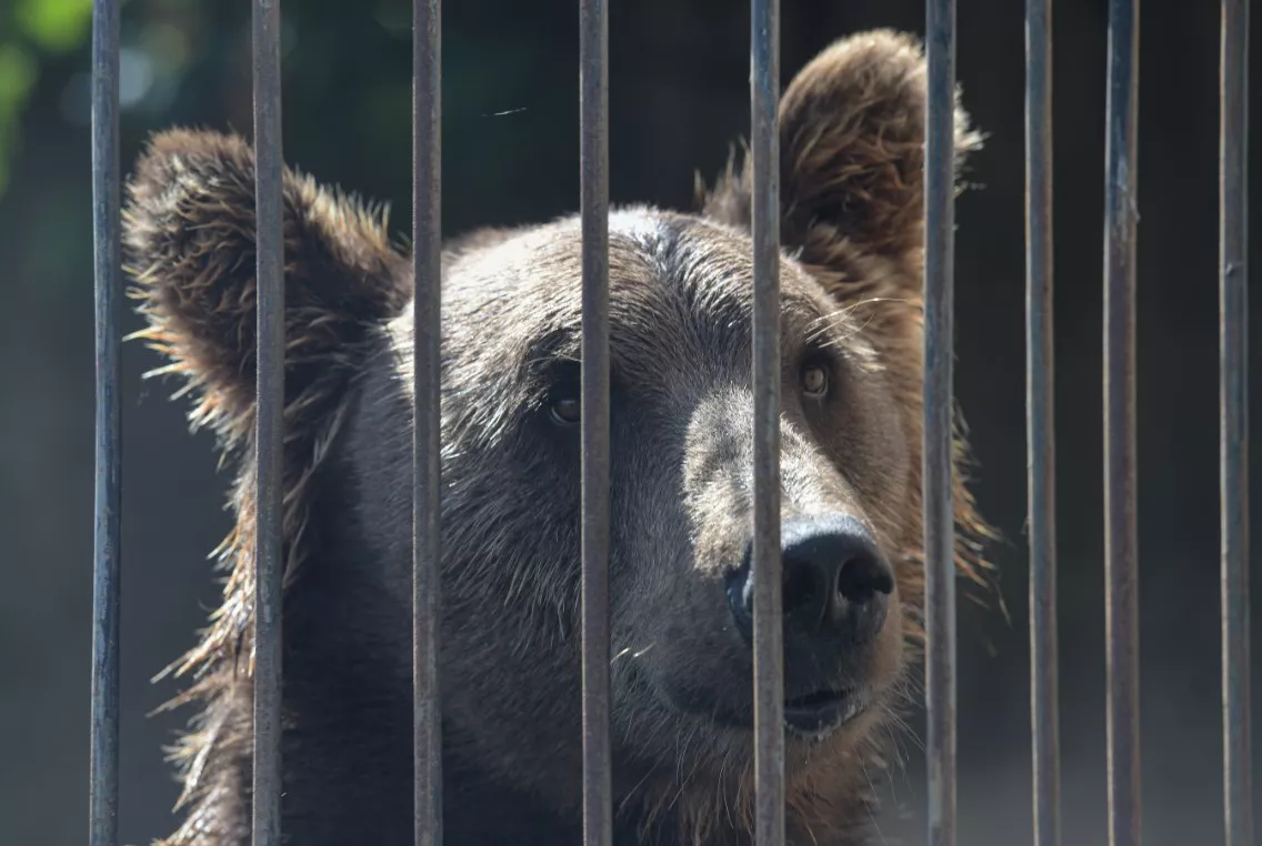 Таисия Воронцова / РИА URA.RU