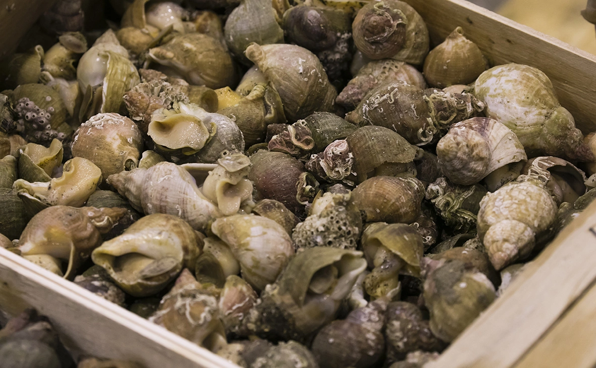 Vincent Isore / imago-images.de / Global Look Press