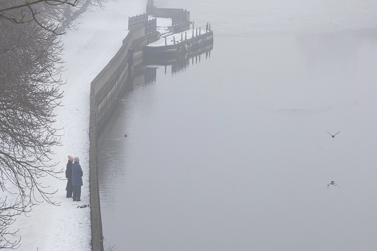 Александр Подгорчук