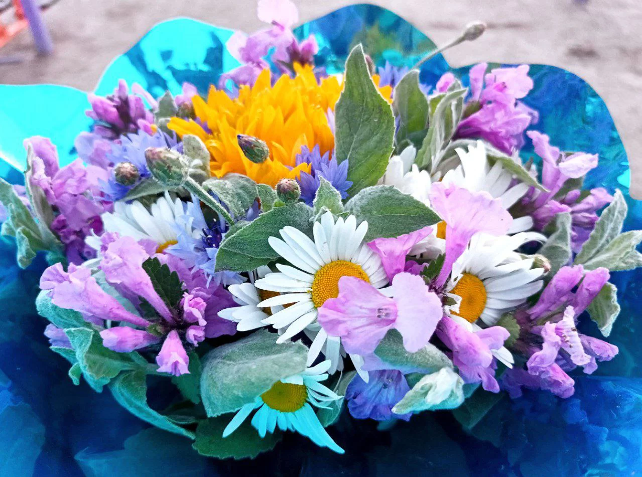 Алексей Коваленок / РБК Новосибирск