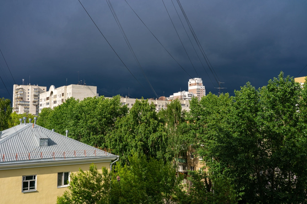 В период с весны до осени отмечается пик этого явления, обусловленный природными факторами
