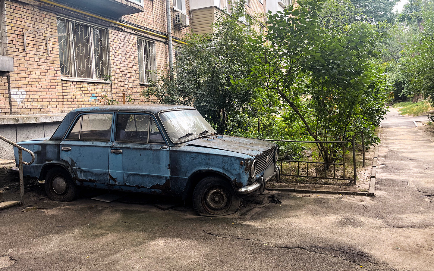 Фото: Aylata / Shutterstock / FOTODOM