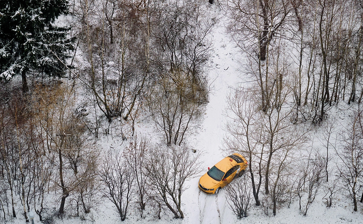 Андрей Журавлев / Shutterstock