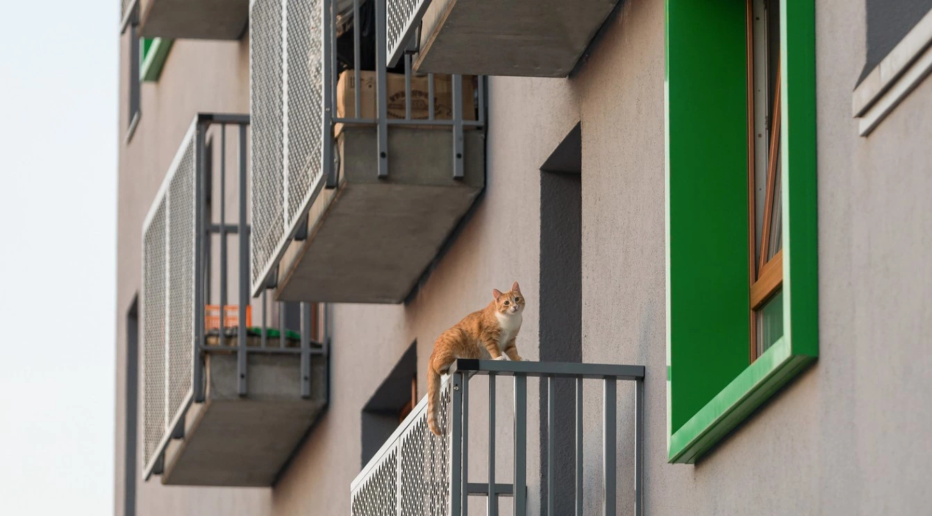 «Брусника»