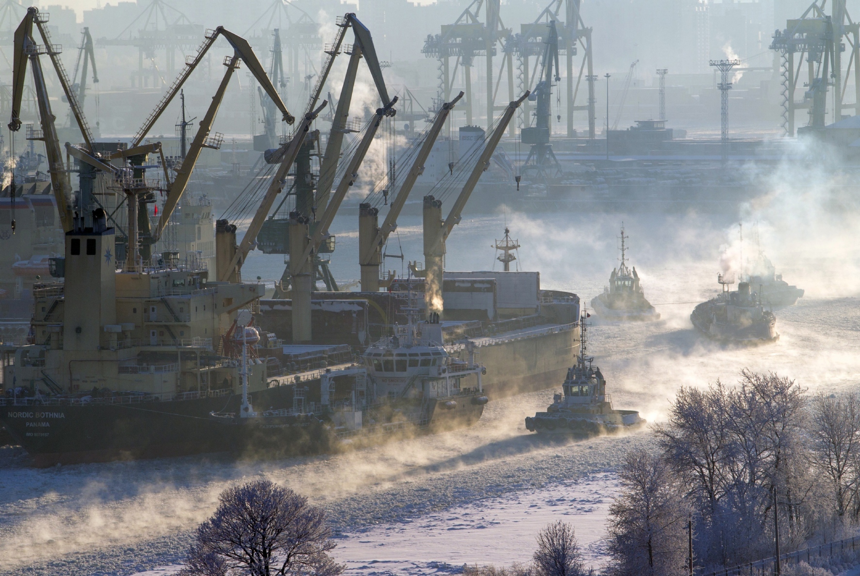 Петербургский порт открывает новую морскую линию в Индию, Китай и Эмираты —  РБК