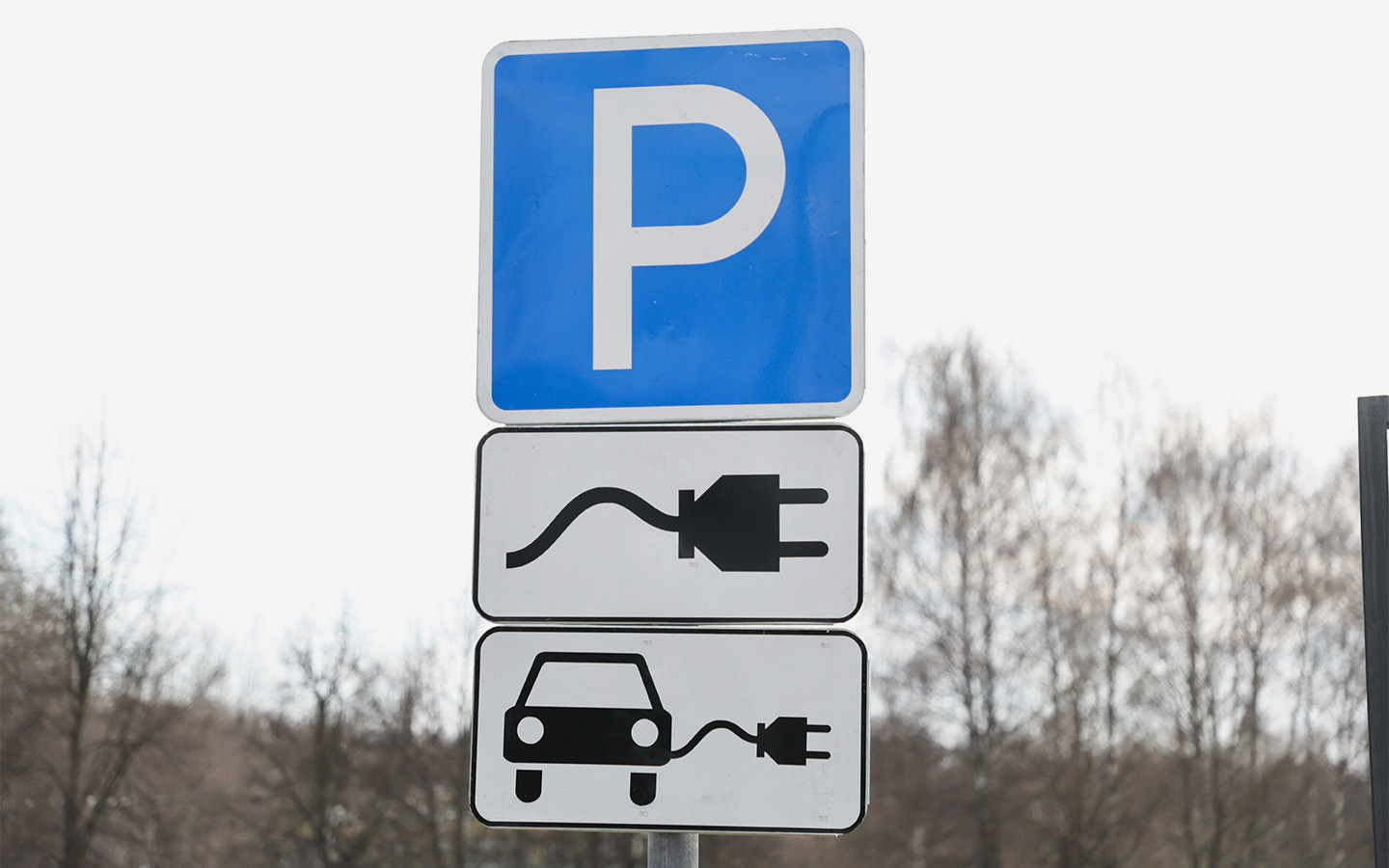 Фото: Belkin Alexey / NEWS.ru / Global Look Press