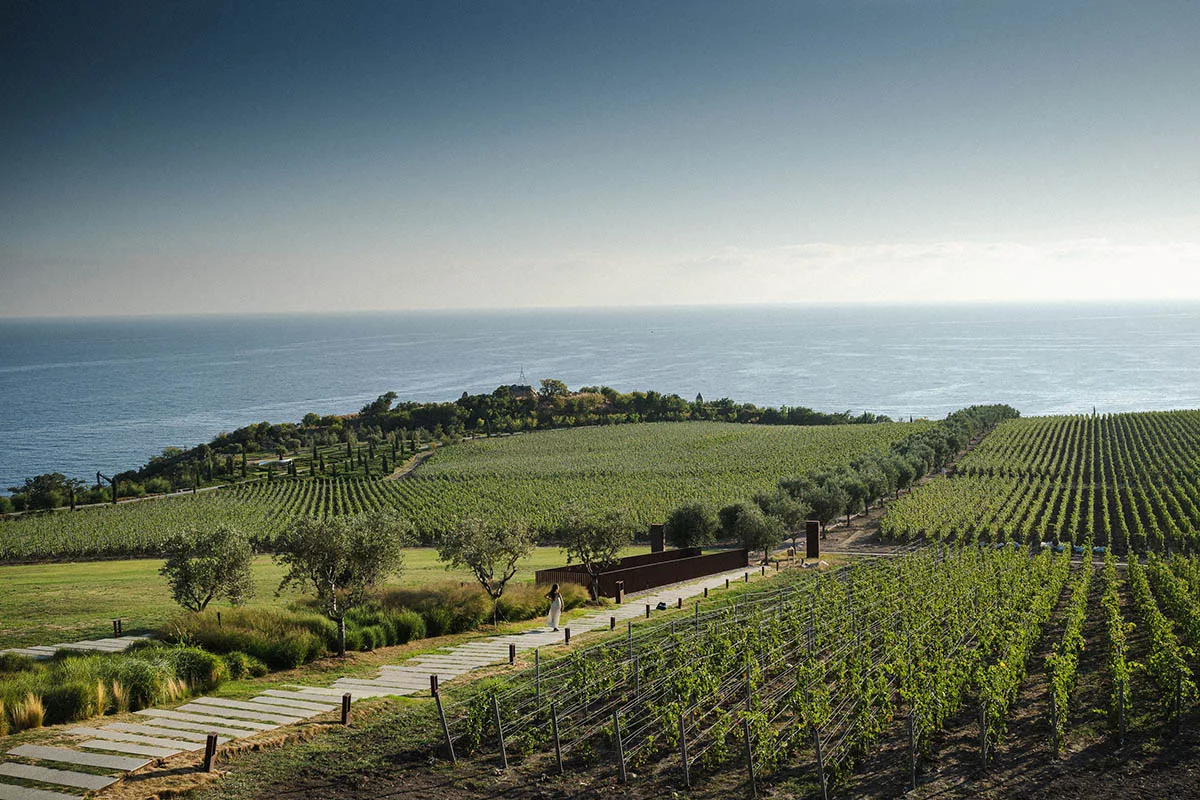 Крым издавна был землей винограда и солнца. Здесь природа создала все необходимое для виноделия мирового уровня: мягкий климат, морские бризы, горный рельеф и щедрую землю 