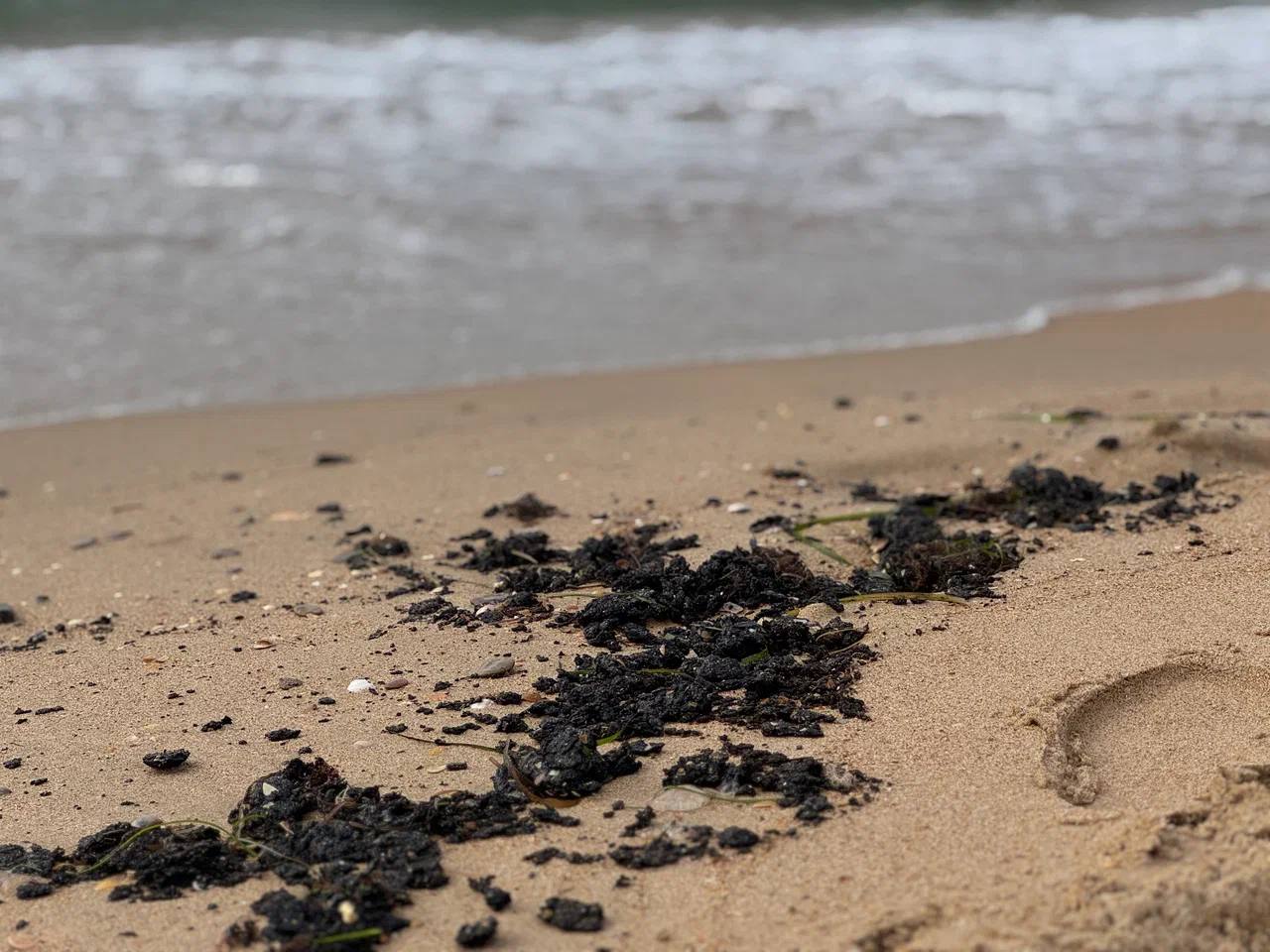 Фото: Оперативный штаб Краснодарского края