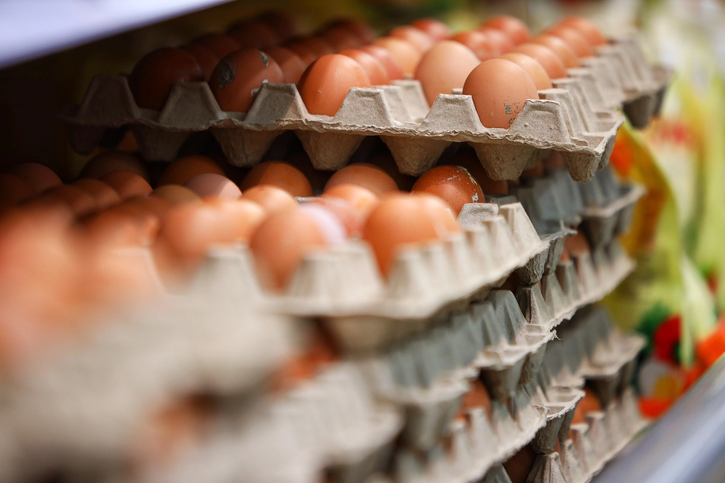 Александр Подгорчук