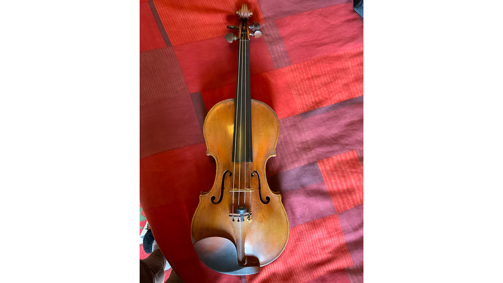 Скрипка стоимостью £150 тыс