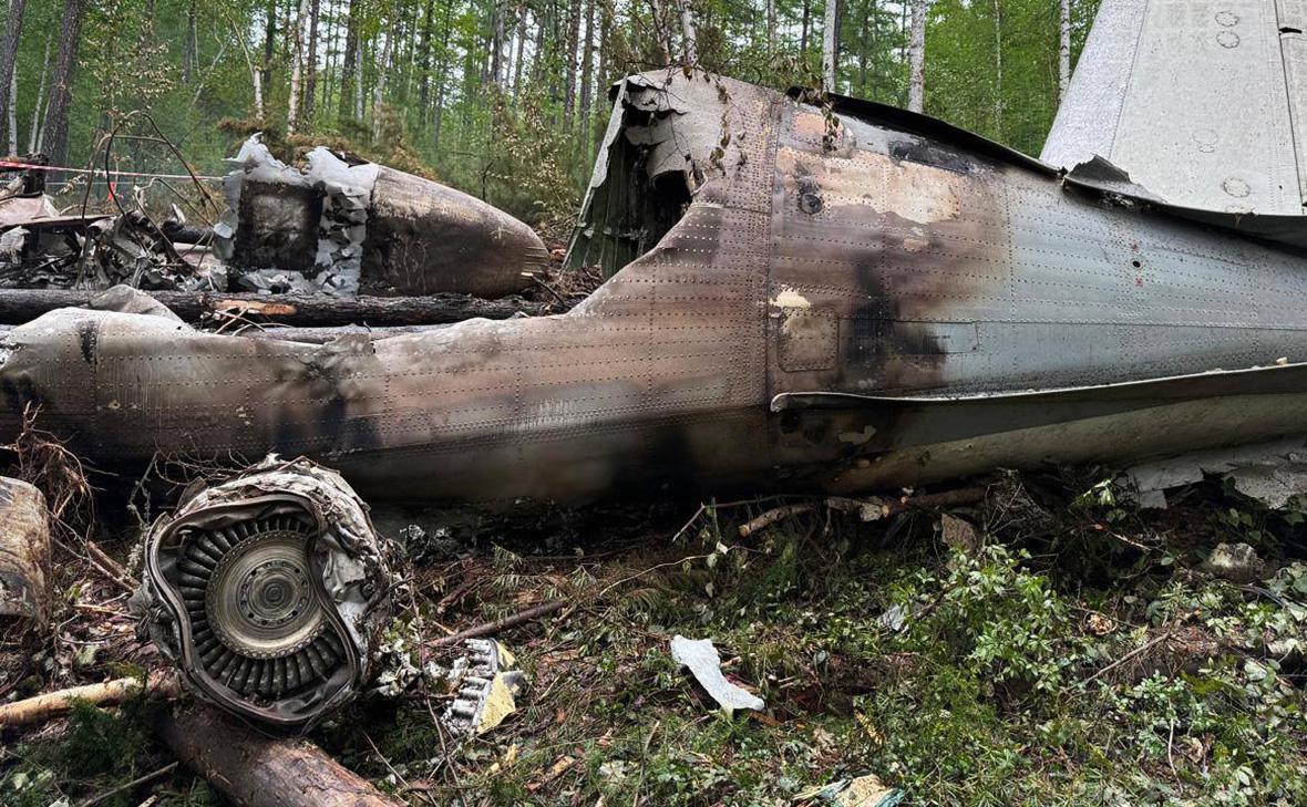 Обстановка на месте крушения самолёта Ан-24 в Амурской области, 26 июля 2025&nbsp;г.