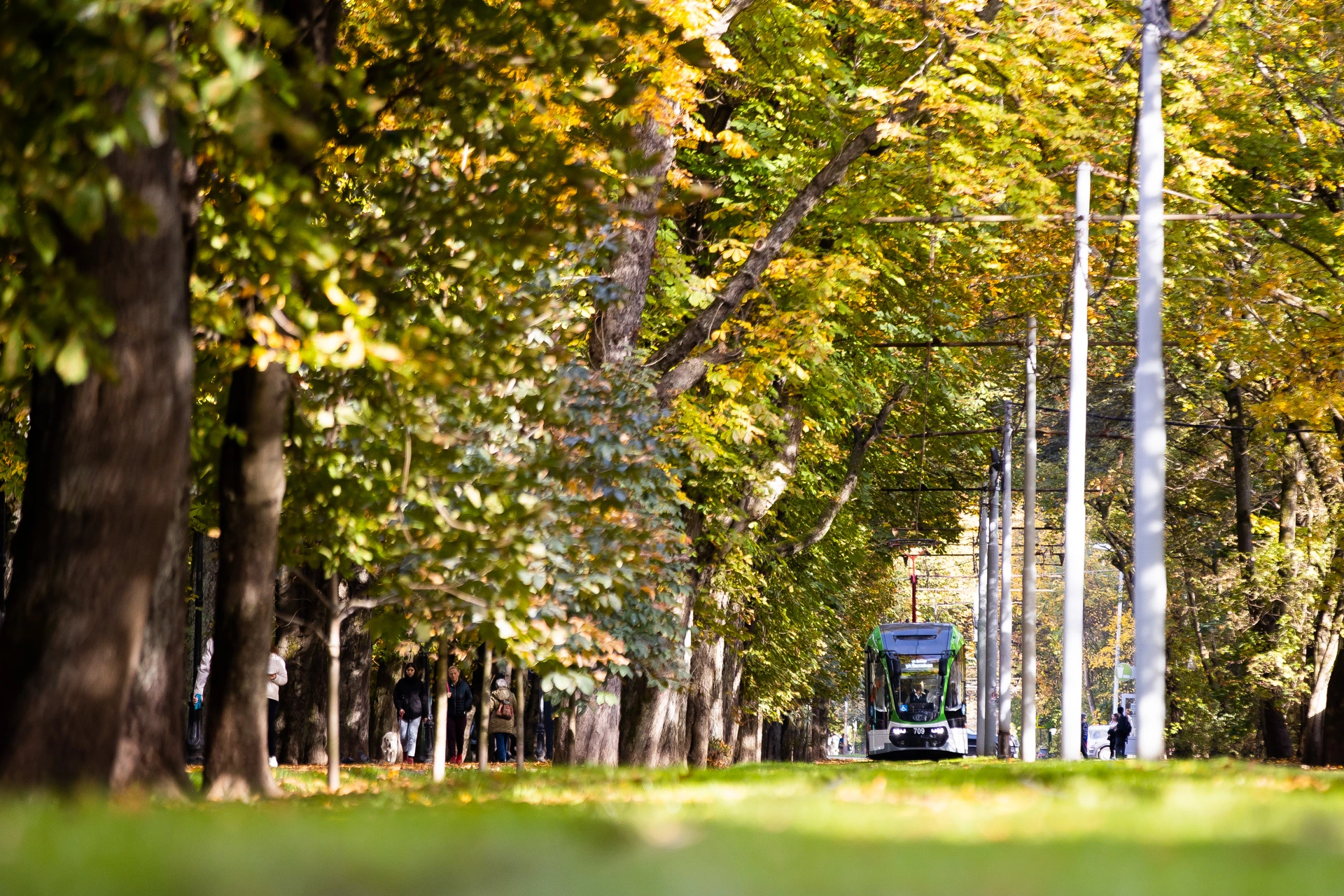 Александр Подгорчук