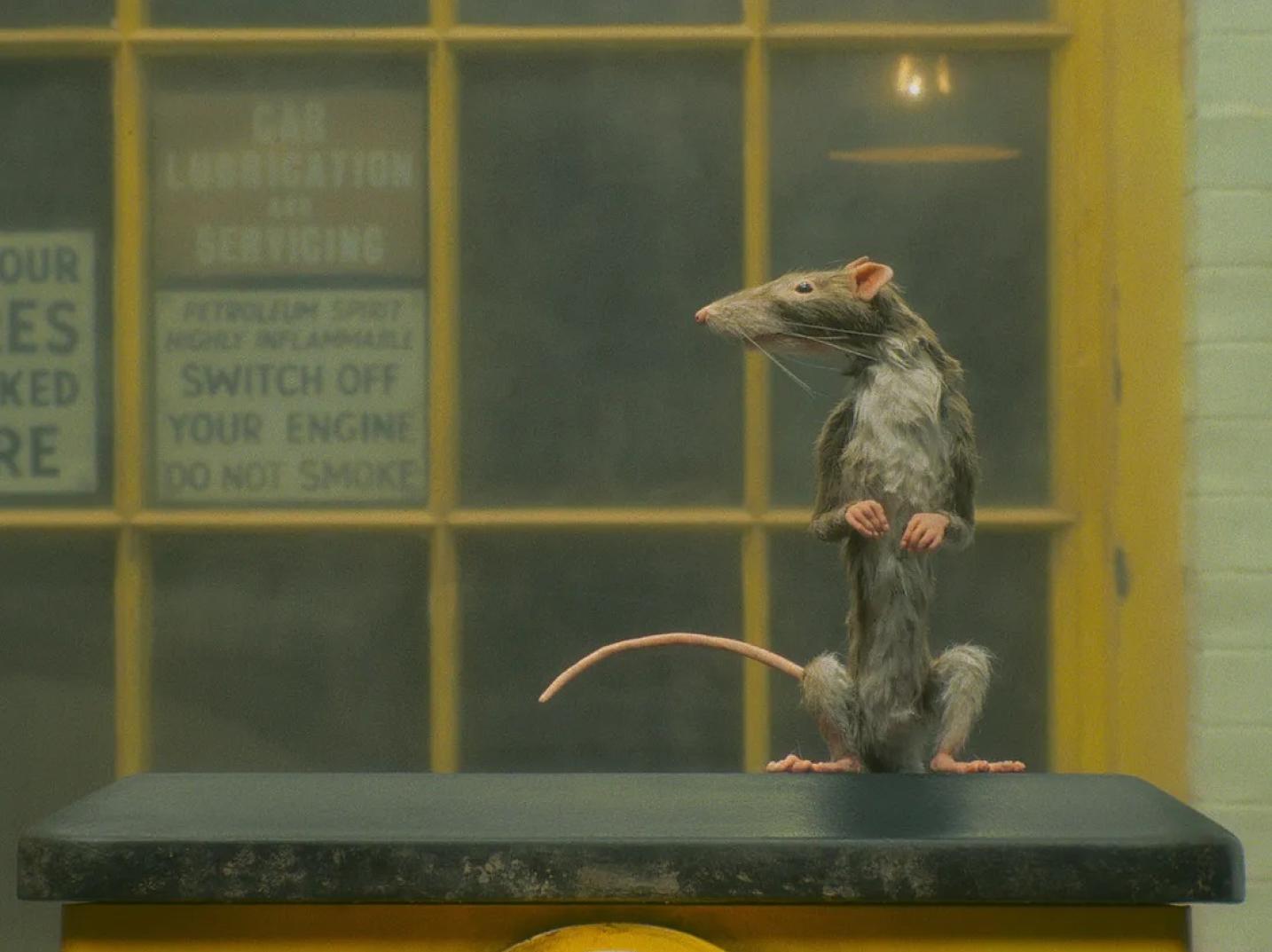 Кадр из фильма «Крысолов»
