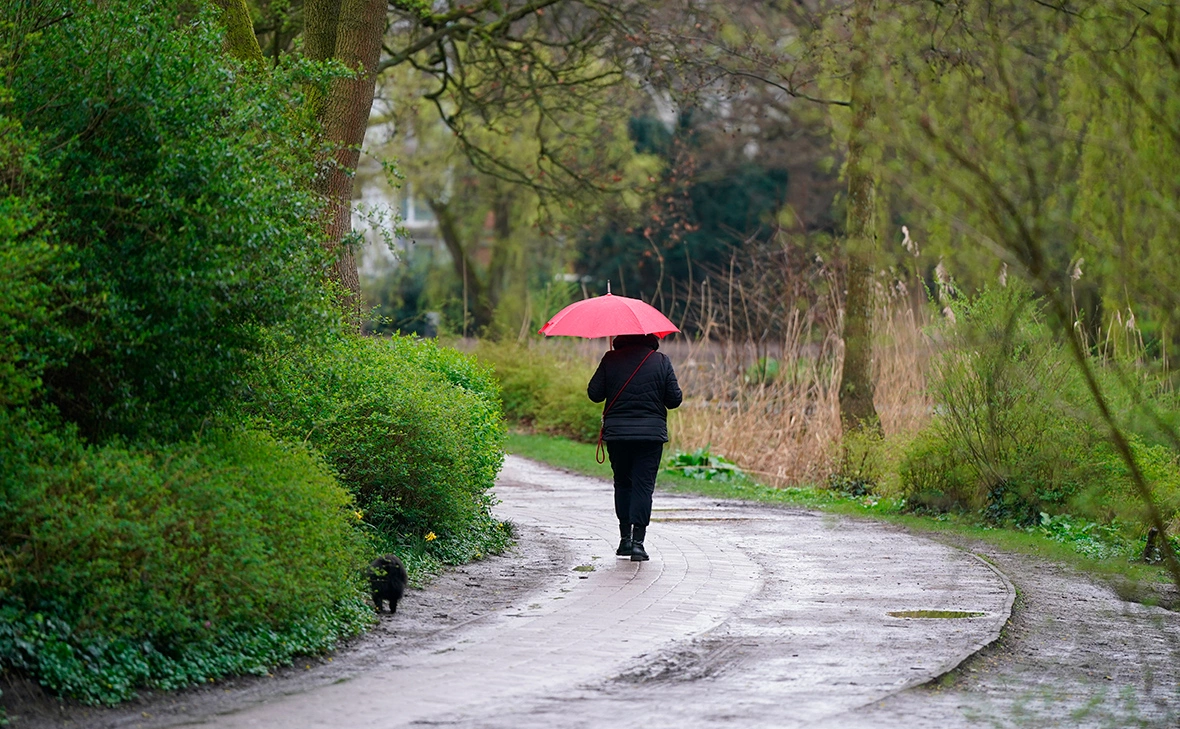  Marcus Brandt / dpa / picture-alliance / ТАСС