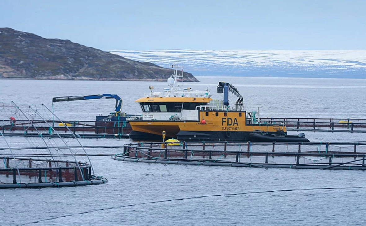 inarctica.com