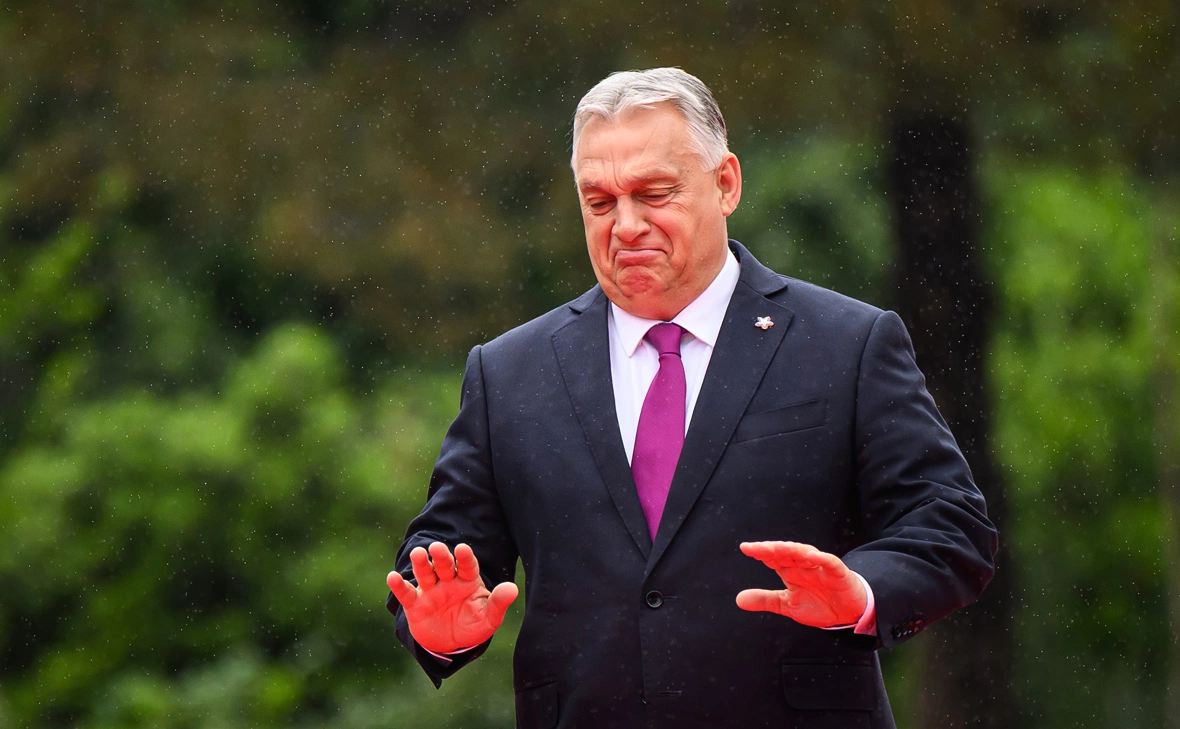 Leon Neal / Getty Images