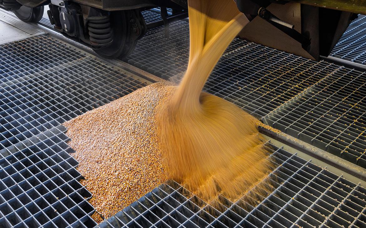 Bloomberg сообщил о падении экспорта пшеницы с Украины почти на четверть