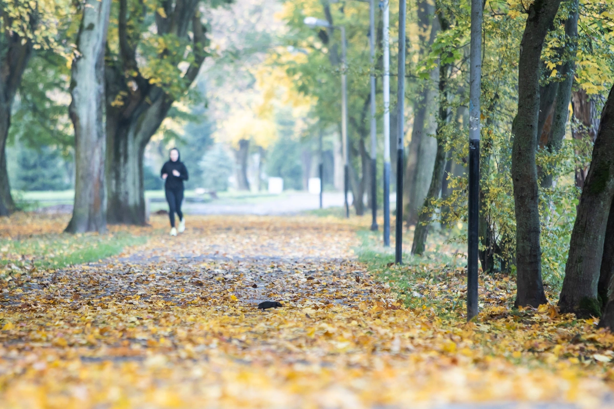 Александр Подгорчук
