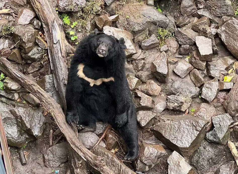 РБК Приморье