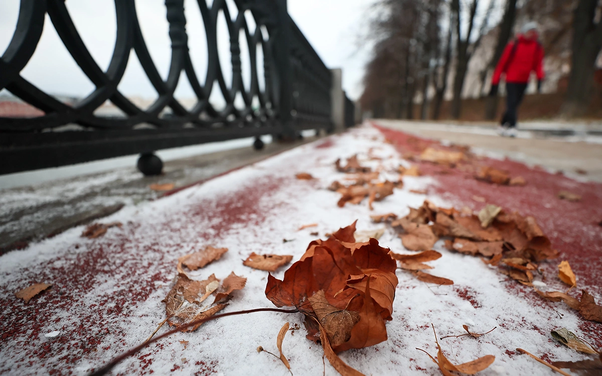 <p>Москва. Листья на снегу</p>