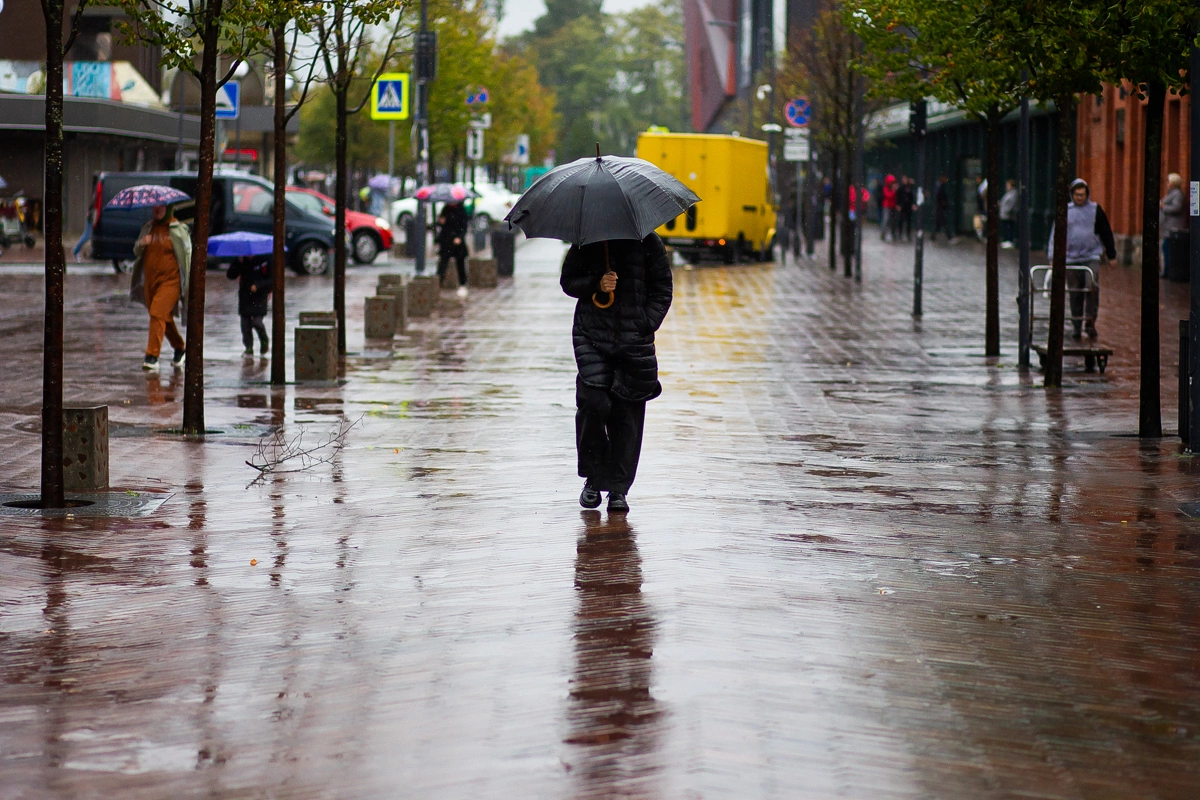 Александр Подгорчук